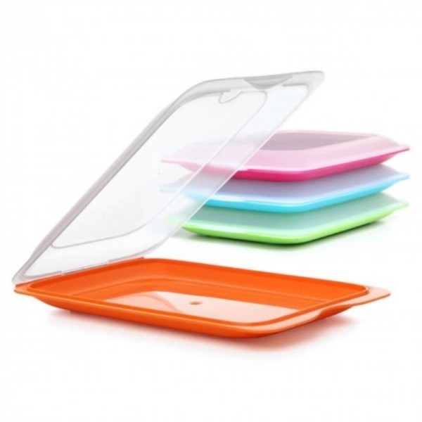 TATAY COLD CUTS CONTAINER - ASSORTED COLORS