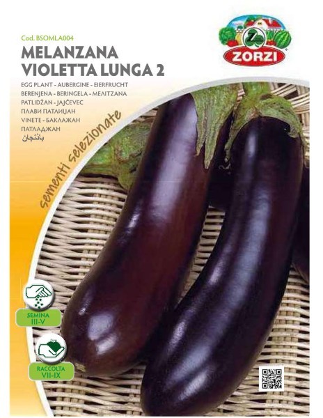 ZORZI BSOMLA004 MELITZANA MAVRI