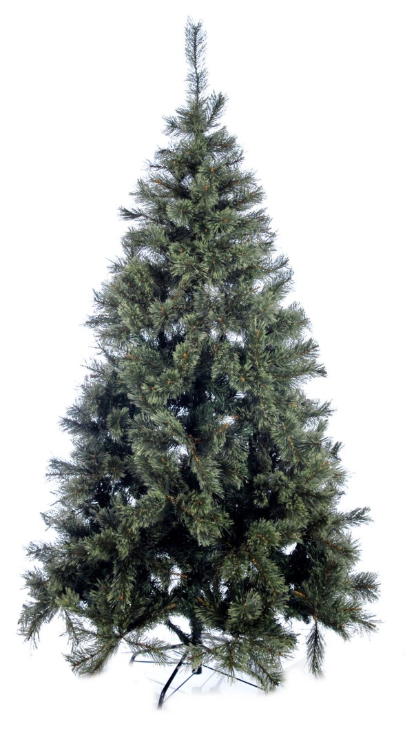 CHRISTMAS TREE CASMIRE 1347 TIPS 245CM