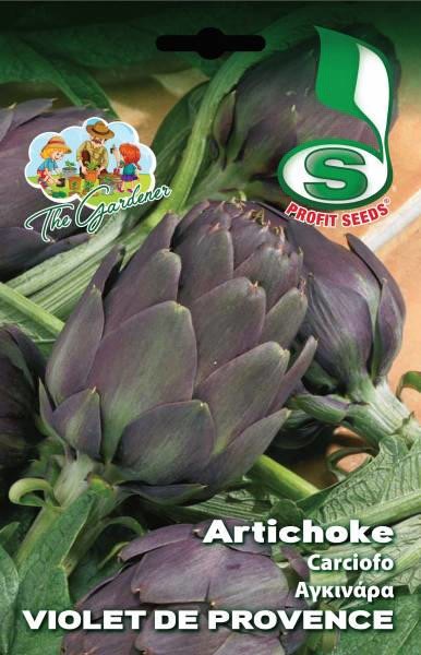 ARTICHOKE VIOLET DE PROVENCE 4