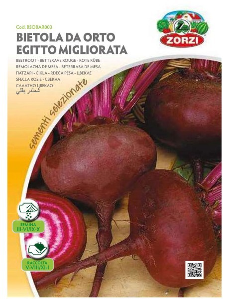 ZORZI BSOBAR003 PANTZARI PLATI