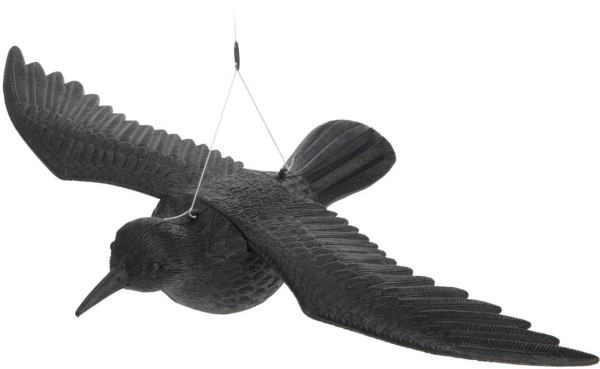 RAVEN BLACK 400X575MM