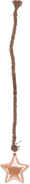 ROPE GLASS STAR 15LED WARM WHITE