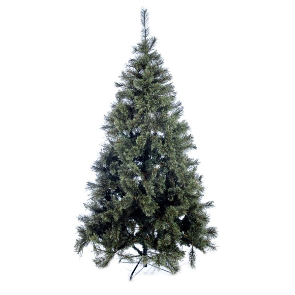 CHRISTMAS TREE CASMIRE 722 TIPS 185CM