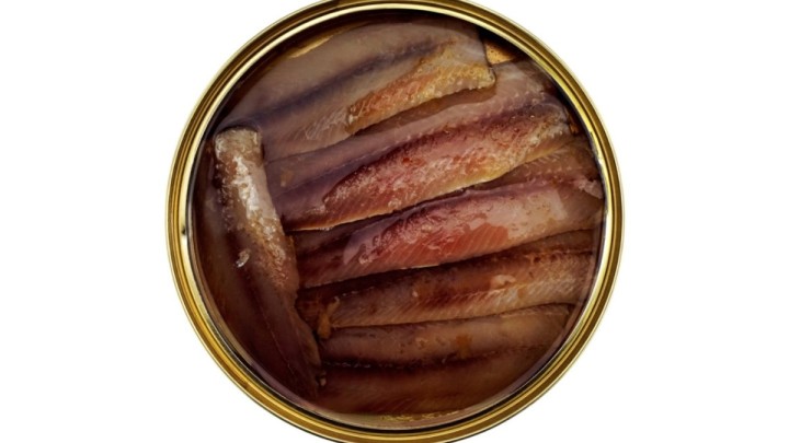 Salted Sardines in oil 6-8 fillets