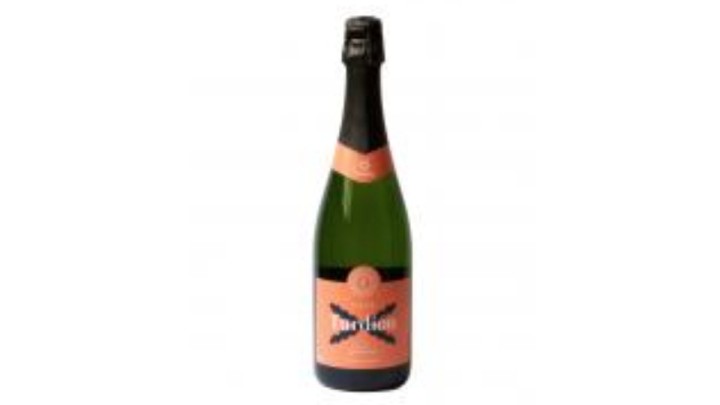 Cava Brut Turdion 750ml