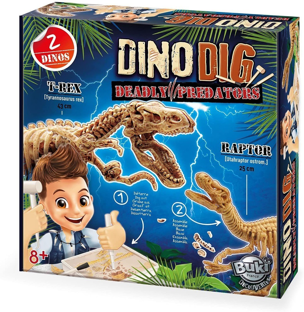 BUKI France 2139 - Dino Dig 5years +