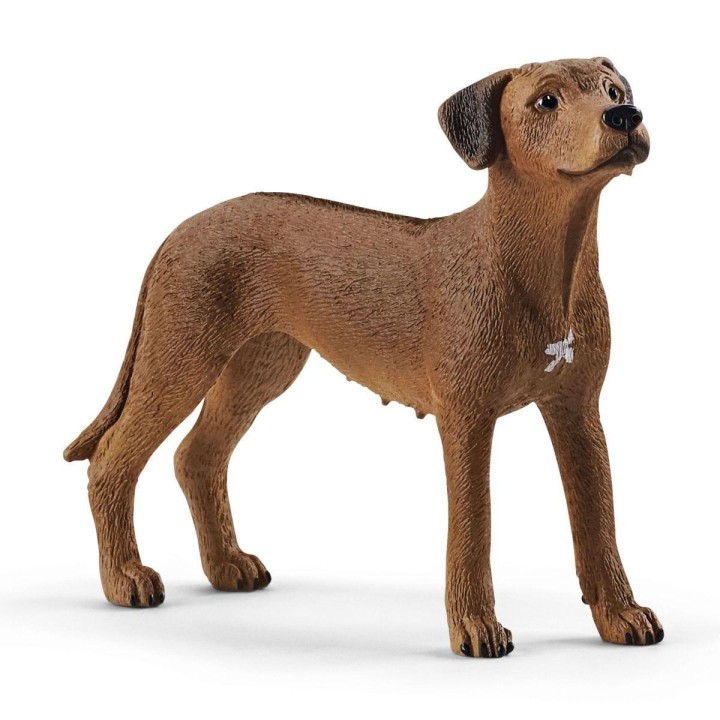 Schleich 13895 Rhodesian Ridgeback Dog Figure 11years +
