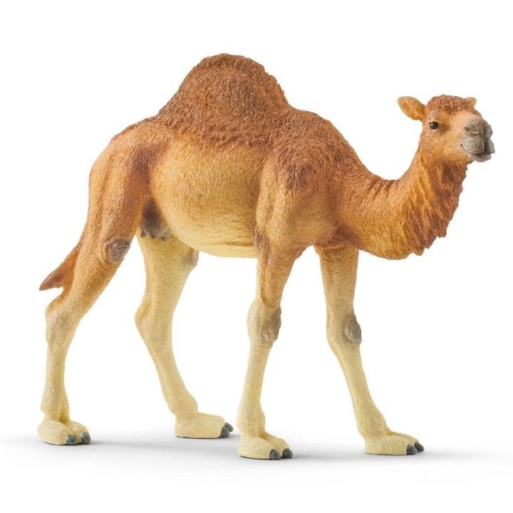Schleich 14832 Dromedary One-Humped Camel Figure 11years +