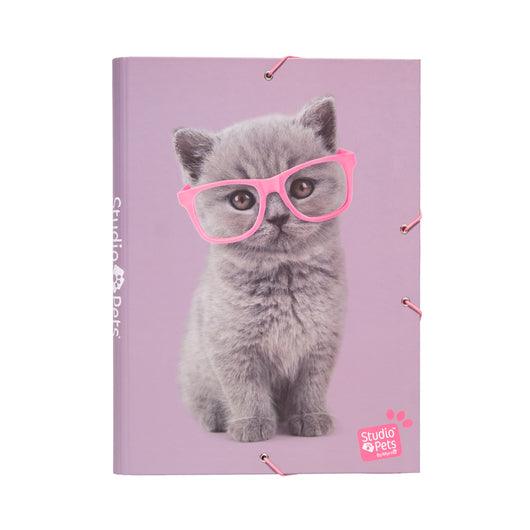 Studio Pets Cats 2019 A4 Elastic Folder 11years +
