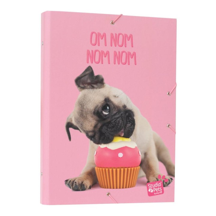 Studio Pets Puppies Elastic Folder A4 11years+ - Creative Stationery