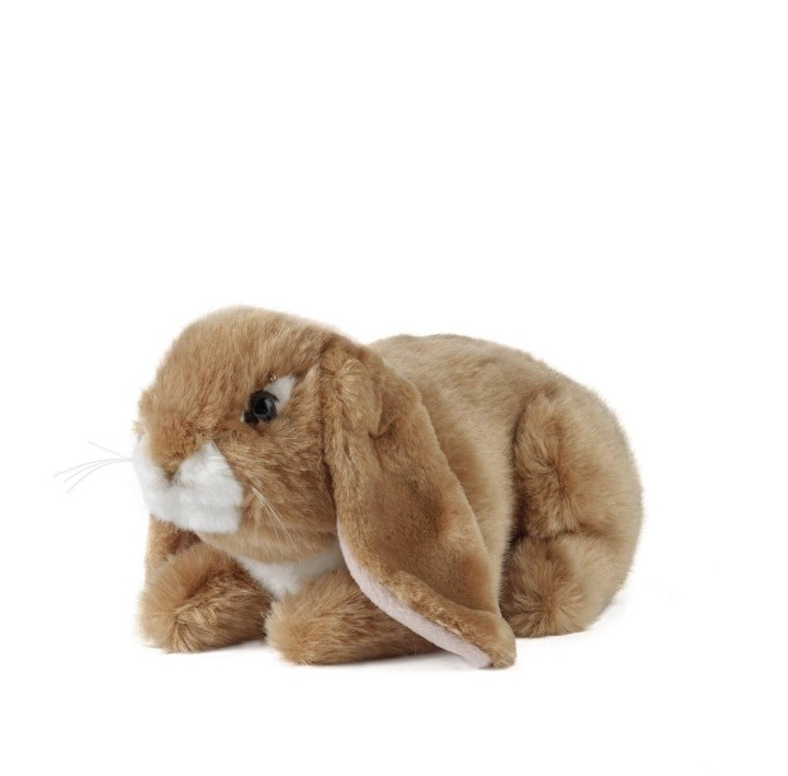 LIVING NATURE AN40 Sitting Lop Eared Rabbit 24cm - Assorted 0 - 18 Months