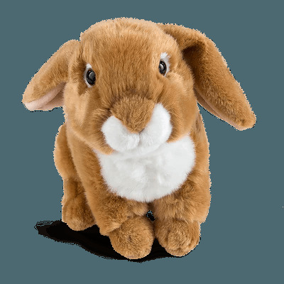 LIVING NATURE Light Brown French Lop-Eared Rabbit 22cm Plush 0 - 18 Months