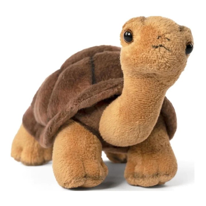 LIVING NATURE Tortoise Soft Toy 23cm 0 - 18 Months