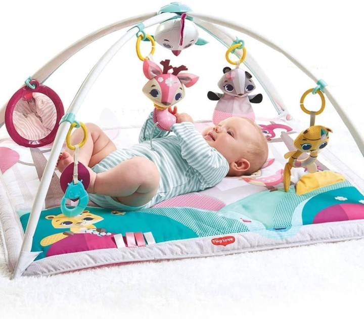 Tiny Love Gymini Deluxe, Musical Baby Play Mat and Newborn Activity Gym 0 - 18 Months Baby Playing Mat