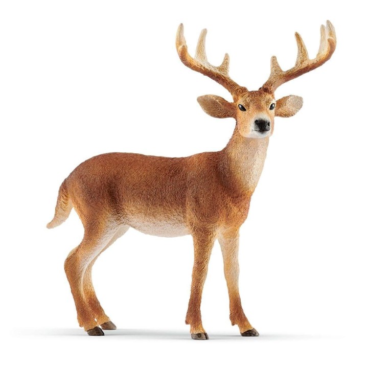 Schleich 14818 White-Tailed Buck Figure 11years +