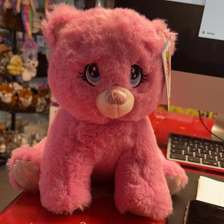 Be My Bear Plush The Kitty 20cm Soft Toy 11years +