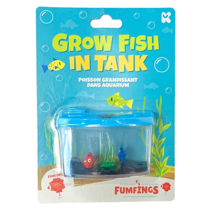 FUMFINGS Growing Fish in Tank 3years +