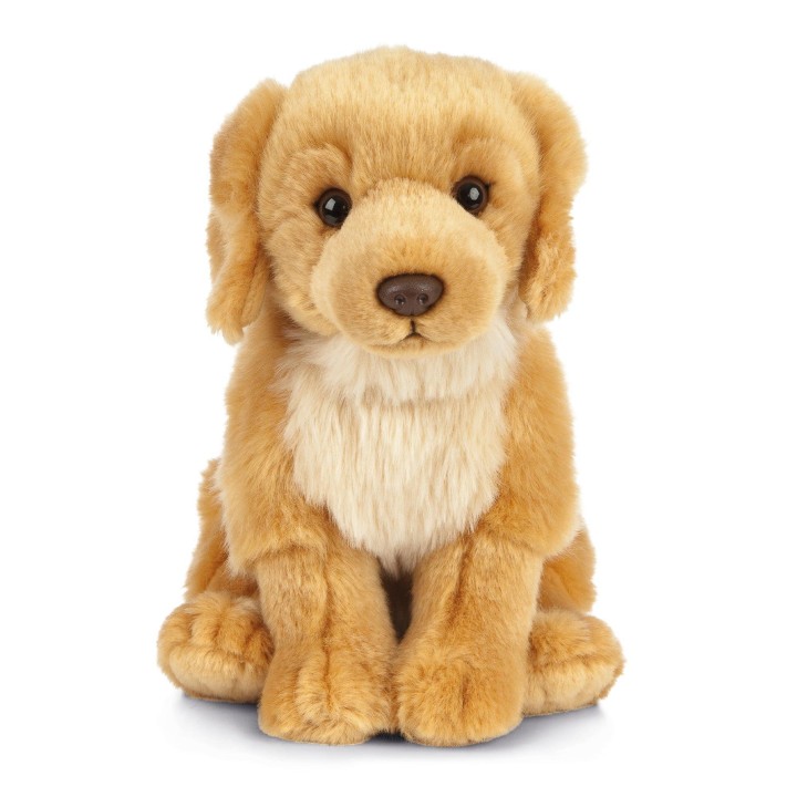 LIVING NATURE AN459 Golden Retriever Plush 30cm 0 - 18 Months