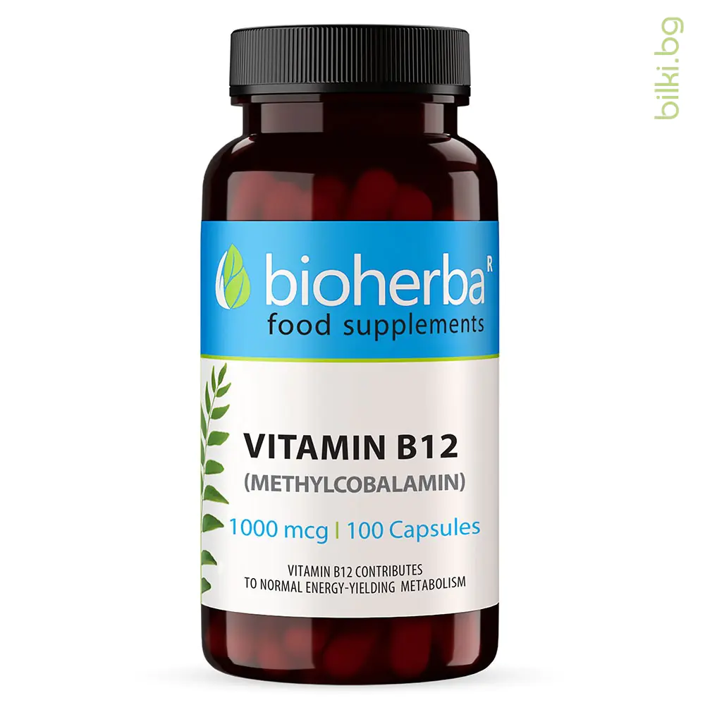 Vitamin B12 (Methylcobalamin), 1000 mcg, 100 Capsules, Bioherba