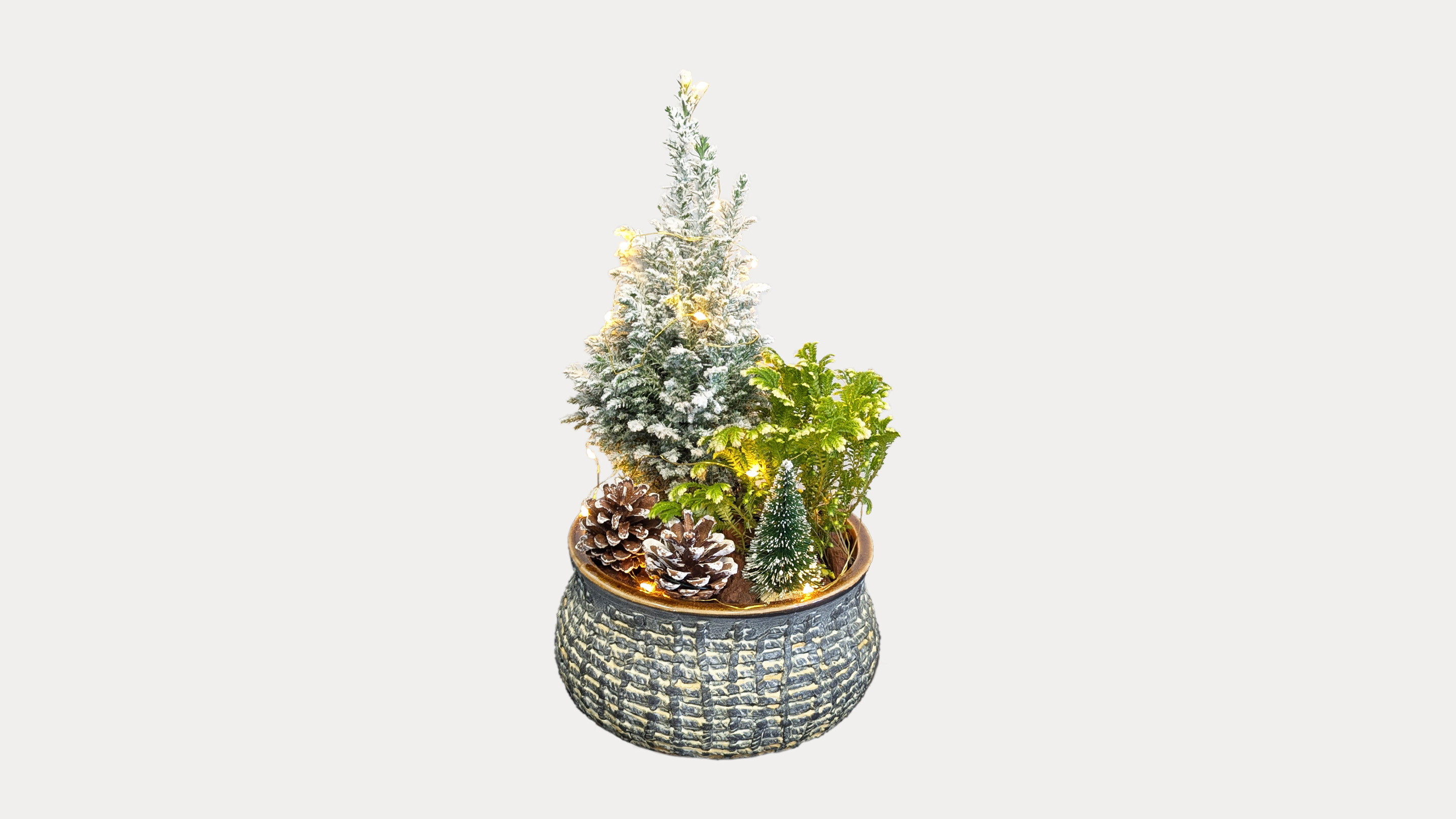 Festive Forest Pot