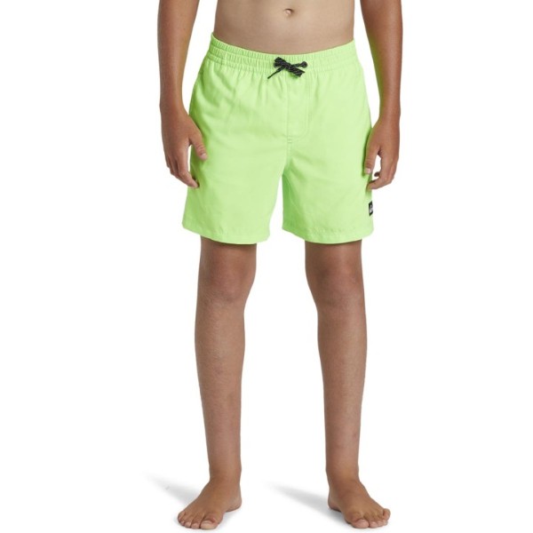 Quiksilver Boys Swimwear Everyday Solid Volley Youth 14 Green Gecko Aqbjv03054-Ggy0 176 / 15-16 Years