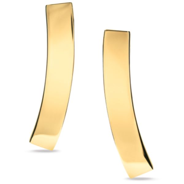 Calvin Klein Eliptical GP Earrings