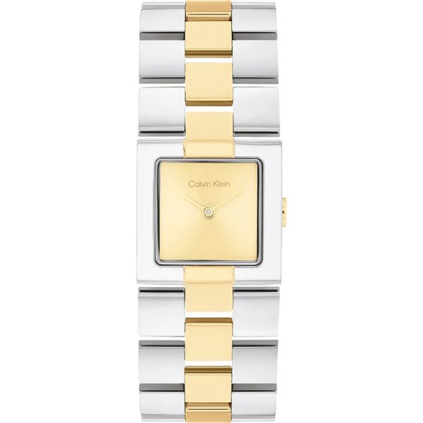 Calvin Klein Meridian Watch