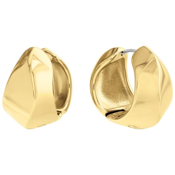 Calvin Klein Sculpted GP Earrings