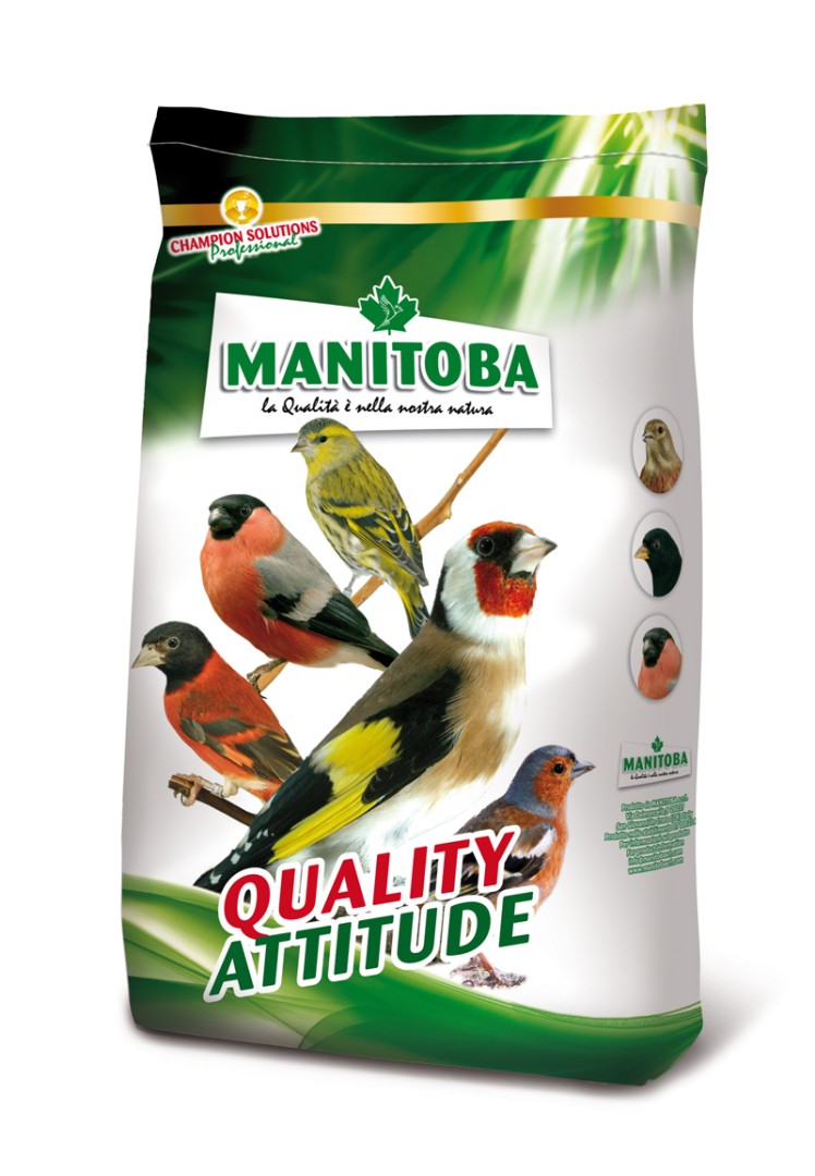 MANITOBA | Cardellino 3000 | 700g
