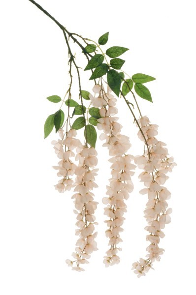 Τεχνητό Λουλούδι - Κρεμαστή Γλυσίνα - Μπεζ