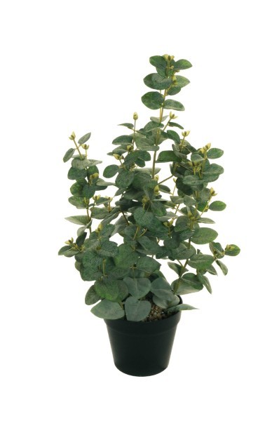 Τεχνητό Φυτό σε Γλάστρα - Ευκάλυπτος - Πράσινο