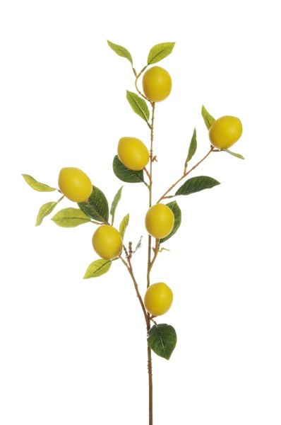 Τεχνητό Κλαδί - Λεμονιά - Κίτρινο