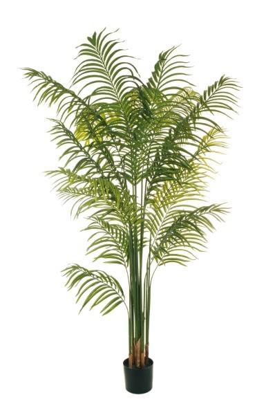 Τεχνητό Φυτό σε Γλάστρα - Φοίνικας - Πράσινο - Υ210εκ