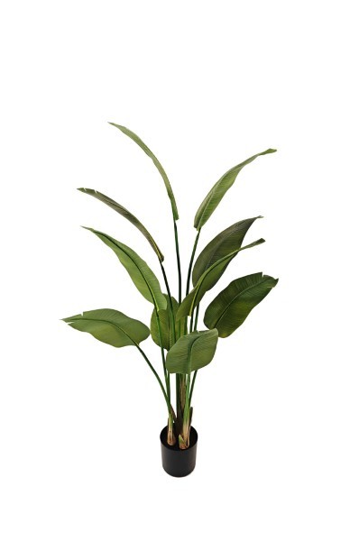 Τεχνητό Φυτό - Πουλί του Παραδέισου - Πράσινο - Υ160εκ