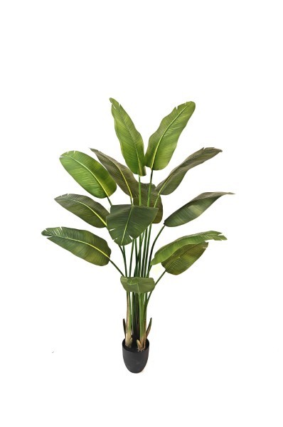 Τεχνητό Φυτό - Πουλί του Παραδέισου - Πράσινο - Υ180εκ