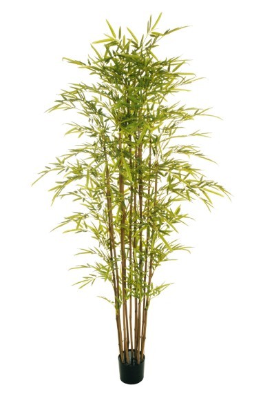 Τεχνητό Φυτό σε Γλάστρα - Δέντρο Μπαμπού - Πράσινο - Υ180εκ