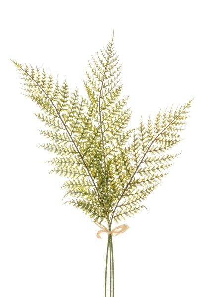 Τεχνητό Branch - Άγρια Φτέρη - Πράσινο