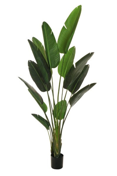 Τεχνητό Φυτό σε Γλάστρα - Πουλί του Παραδέισου - Πράσινο - Υ210εκ