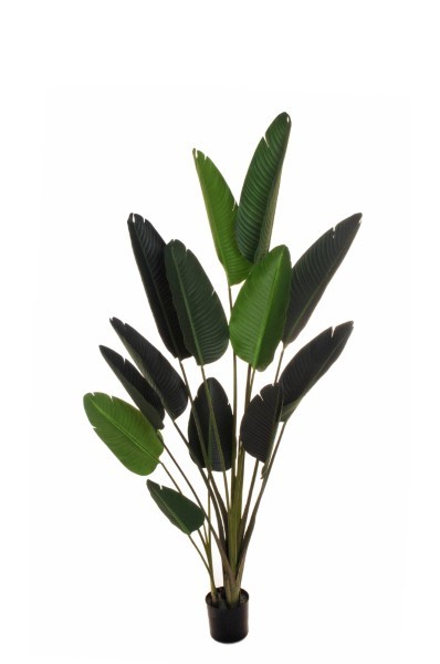 Τεχνητό Φυτό σε Γλάστρα - Πουλί του Παραδέισου - Πράσινο - Υ180εκ