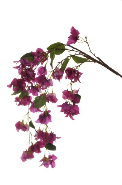 Τεχνητό Λουλούδι - Κρεμαστή Μπουκαμβίλια - Μωβ