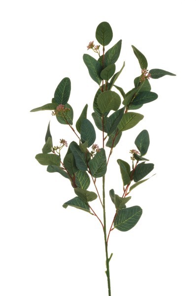 Τεχνητό Κλαδί - Ευκάλυπτος - Πράσινο