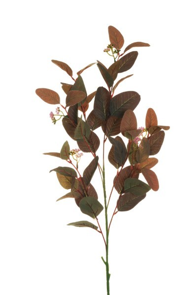 Τεχνητό Κλαδί - Ευκάλυπτος - Πορτοκαλί