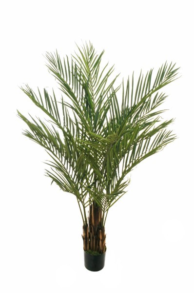 Τεχνητό Φυτό σε Γλάστρα - Φοίνικας - Πράσινο - Υ180εκ