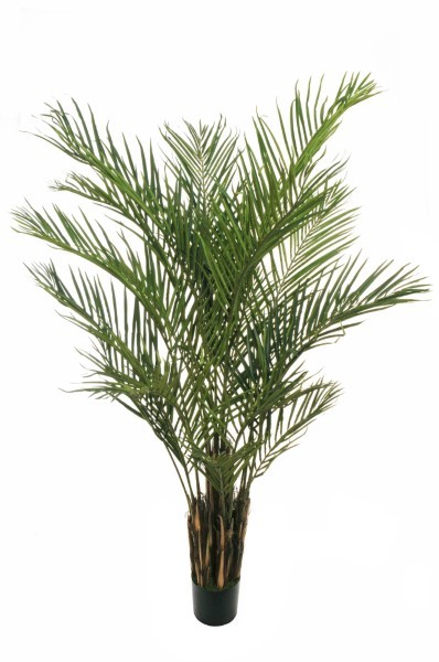 Τεχνητό Φυτό σε Γλάστρα - Φοίνικας - Πράσινο - Υ210εκ
