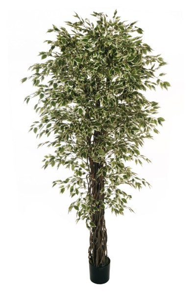 Τεχνητό Δέντρο - Φίκος Benjamina - Πράσινο - Υ210εκ