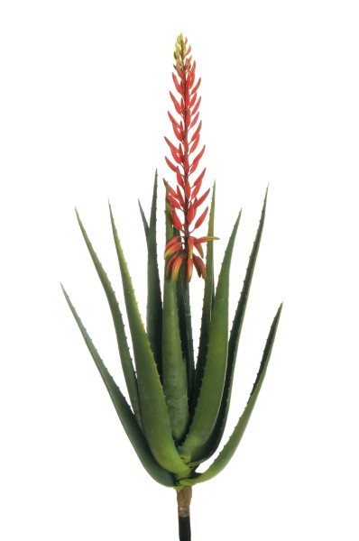 Τεχνητό Φυτό - Aloe - Πορτοκαλί/Κόκκινο
