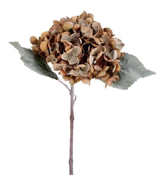 Διακοσμητικό Λουλούδι Ορτανσία - Sissy - Καφέ - H33cm