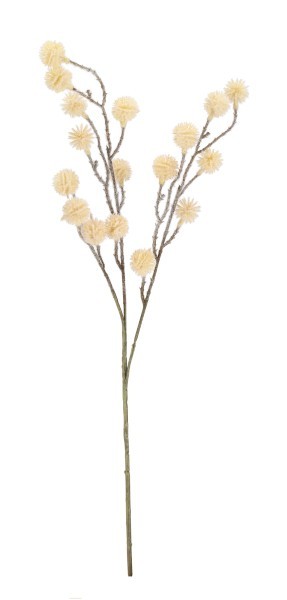 Διακοσμητικό Κλάδι - Nopaly - Μπεζ - Υ65cm