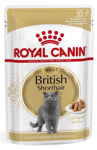 Royal Canin Wet British Shorthair - 85gr
